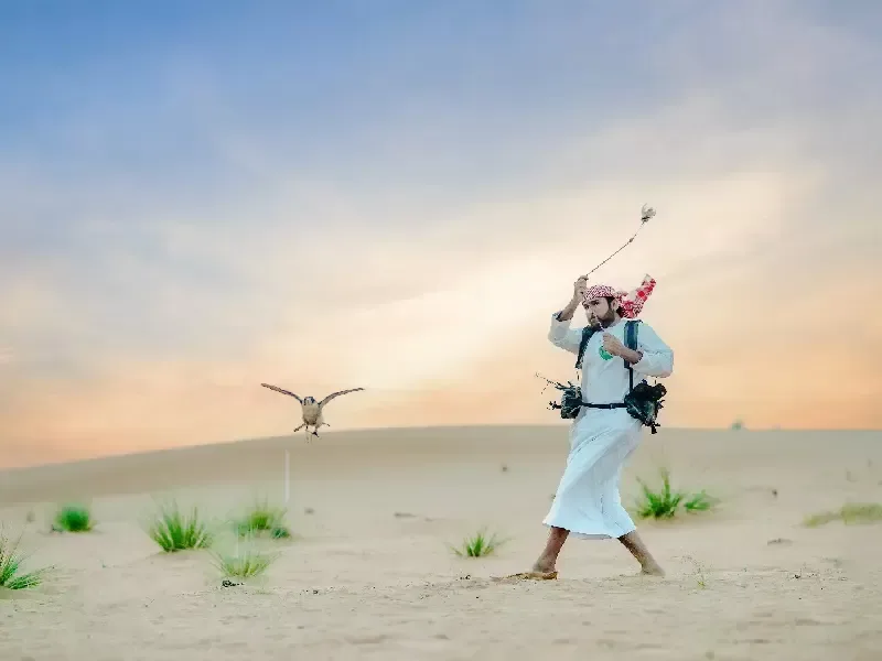 Safari di Mattina con Spettacolo di Falconeria